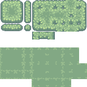 Bush